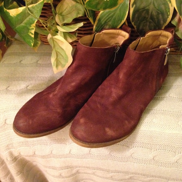 Franco Sarto - Picture 7 of 7